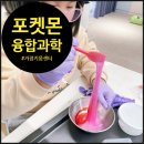 오해피데이지 이미지