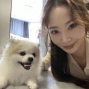 행복을다리는집 이미지