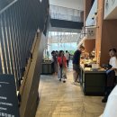 결벽증아저씨 | 오키나와 중부 가성비 숙소 추천 REF 오키나와 아레나 조식 후기, 오꼬노미야끼 야끼소바 맛집