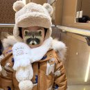 쿵스 | 두돌 22개월 아기 겨울 모자 목도리 쿵스쿵스 후기(내돈내산)