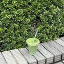 진해구 ⓒ-41 | 삿포로 오도리역 근처 말차 맛집 디맛차 교토 d:matcha Kyoto Sapporo