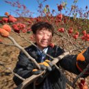 산청한방꾸지뽕영농조합법인