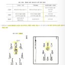 수연장 | 노량진임용고시_ 당악정재 (이쌤 416~429p)