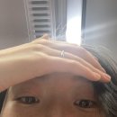 울보의 트랜스퍼 후기