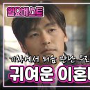 [일요베스트] 귀여운 이혼녀 | 신소미 홍유진 최성국 KBS 2000.04.16. 방송 이미지