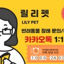 릴리펫 이미지