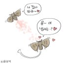 페로몬, 사랑의 향기? 이미지