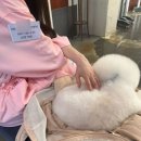 지연웨딩 | 메이븐청담 웨딩메이크업 후기 (민정실장,지연실장)