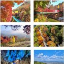 11월 정기산행 안내-옥천 장령산 이미지