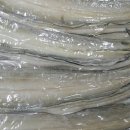 바다장어 이미지