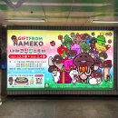 3POP PC방(상수점) | 굿즈 후기 : 《상수 나메코 팝업스토어》 응후응후♨