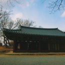 자인계정숲 이미지