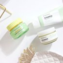 올리브영 추천템 브링그린 사철쑥 리뉴얼 쑥세라 토너 패드 &amp; 젤 크림으로 보습진정