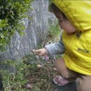 하은약국 | 26년 1월 진행중•••