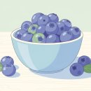 블루베리의 항산화 효능과 섭취 타이밍 이미지