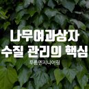 나무구조엔지니어링