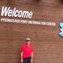 럭키가이 이미지