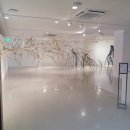 피노키오의 호수 | 잠실무료전시: [더 갤러리 호수] '틈을 걷다' 후기