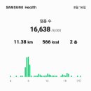 출수기 논물 관리와 걷기운동 11.38km 16.638 이미지