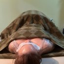 길케어 | 진주 초전동 달리스킨케어에서 전신 미네랄 디톡스받은 후기