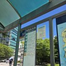 금릉역 버스정류장 Daum카페