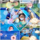 태권도 오송 정도장 이미지