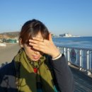 이리 햇빛발전소 이미지