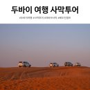 [저녁] 이집트전통벨리댄스 | 두바이 여행 사막투어 예약 복장 팁 듄베이싱 베두인 캠프 후기