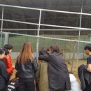 목포용호초등학교 이미지