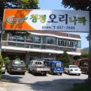 청정오리나라 Daum카페