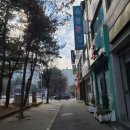 대전 꽃집 관저동 쇼몽플라워에서 반려식물 친구 데려왔어요!!