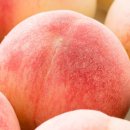 박성태농장 이미지