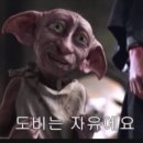 하루와이틀 이미지