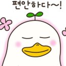 와와점핑다이어트 이미지