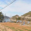 금화공인중개사사무소 이미지