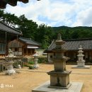 대교장 Daum카페