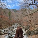 해인사쇼핑센터 이미지