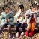 풍산초병설유치원 이미지