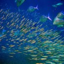 정석메디컬 이미지