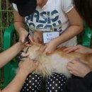 평강공주 이미지