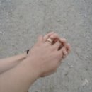 강촌목장 이미지