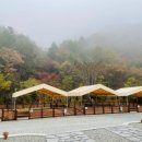 그자리 야영장 이미지