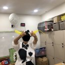스토리매직 이미지