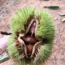 금호농원 이미지