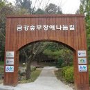 금강숲 무장애나눔길 조성 네이버블로그