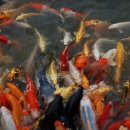 물고기마을 이미지