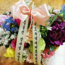 마렌지오스포츠센타 이미지