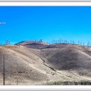 산들가축 이미지