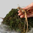 환산농장 이미지