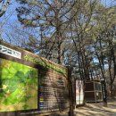 수리산 도립공원 | 수리산 도립공원 | 관악산 대신 수리산, 가벼운 트레킹 코스 추천, 성불사 다녀온 후기